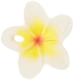 Прорезыватель для зубов Oli&Carol Hawaii The Flower Прорезыватель для зубов Oli&Carol Hawaii The Flower