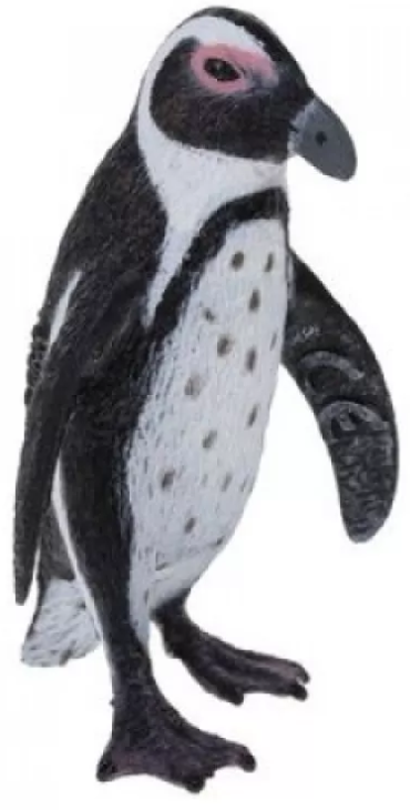 Южноафриканский пингвин (S)
