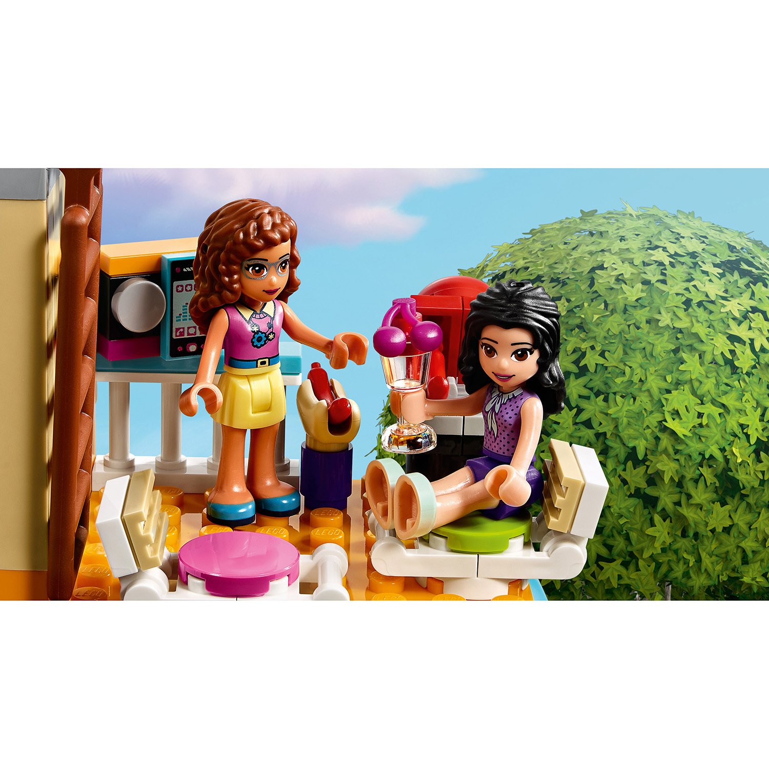 LEGO Friends Дом дружбы купить в Москве в интернет-магазине LEMI KIDS