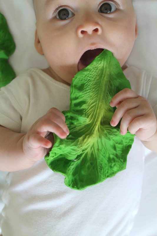 kendall the kale teether