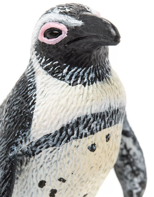 Южноафриканский пингвин (S)