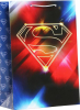 Пакет подарочный Superman, 22х31х10 см, 7041657