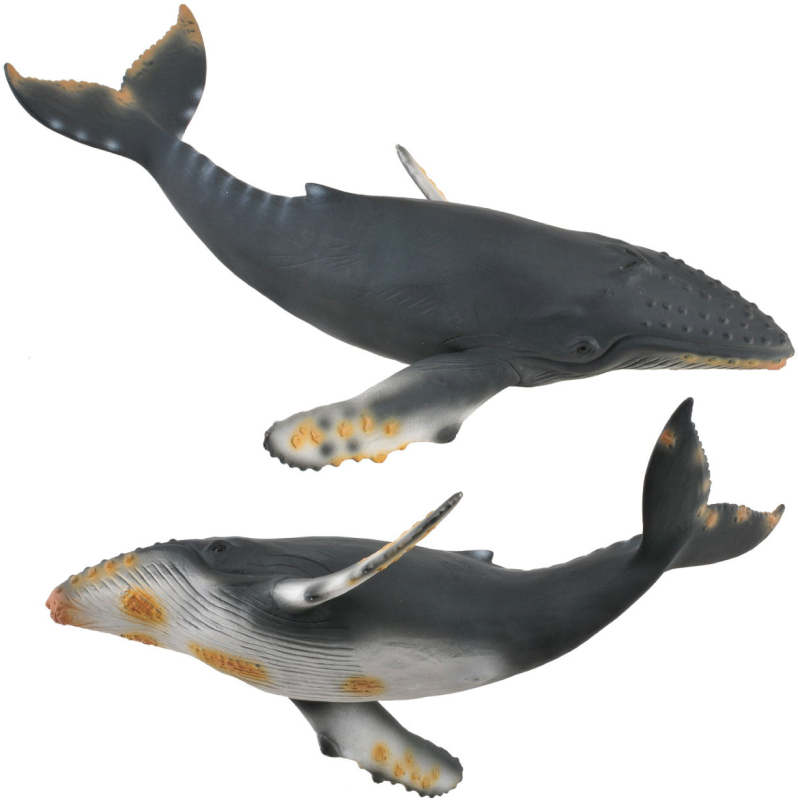 Горбатый кит  XL
