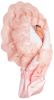 Зимний конверт-одеяло на выписку Luxury Baby Милан атлас нежно-розовый с розовым кружевом