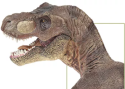 Тираннозавр (L)