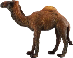 Одногорбый верблюд Collecta, размер L